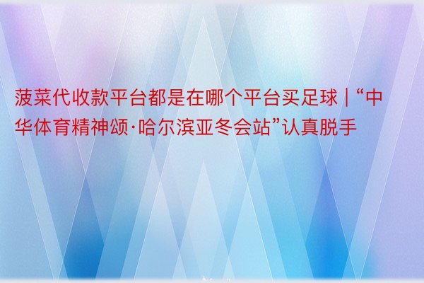 菠菜代收款平台都是在哪个平台买足球 | “中华体育精神颂·哈尔滨亚冬会站”认真脱手